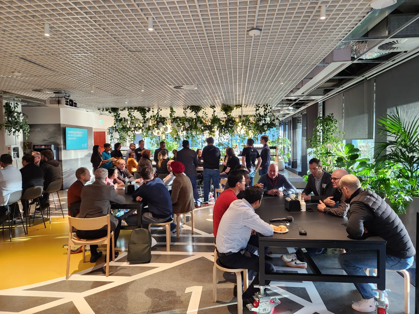 A Collective session, Auckland